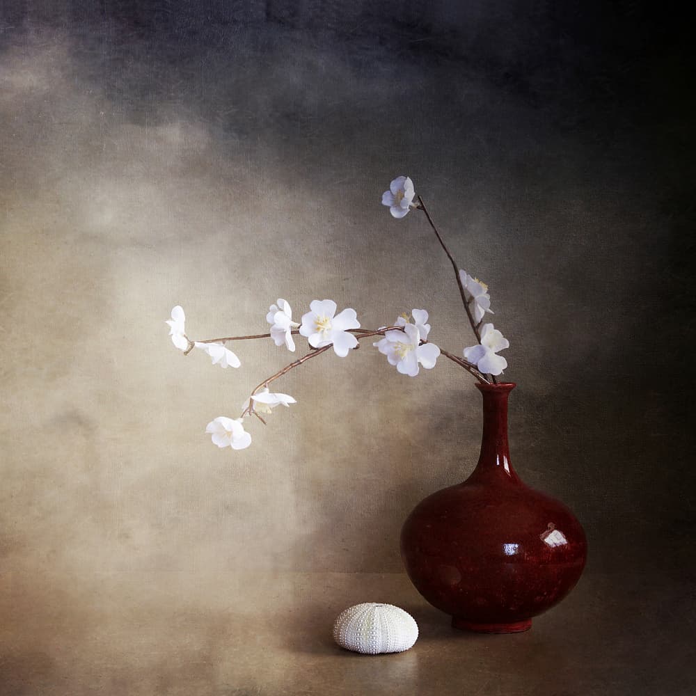 Tranquil Cherry Blossoms by Margaret Halaby — canvas wall art