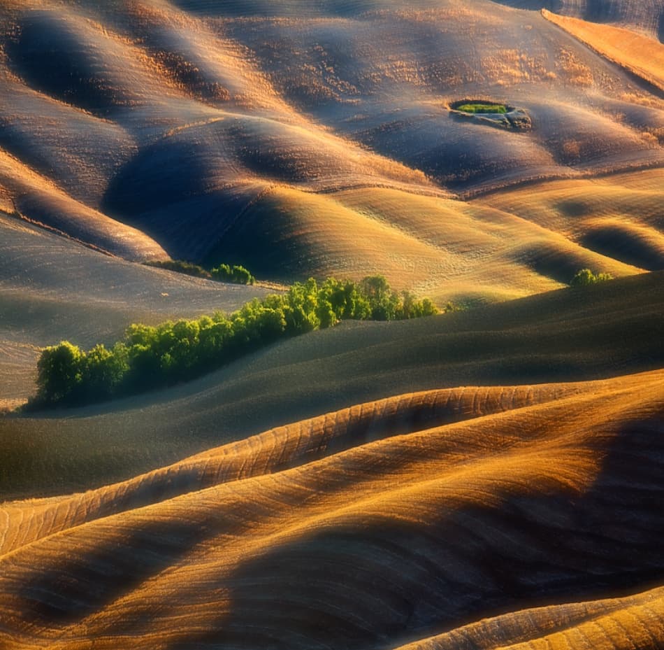 Rolling Golden Fields by Krzysztof Browko — canvas wall art