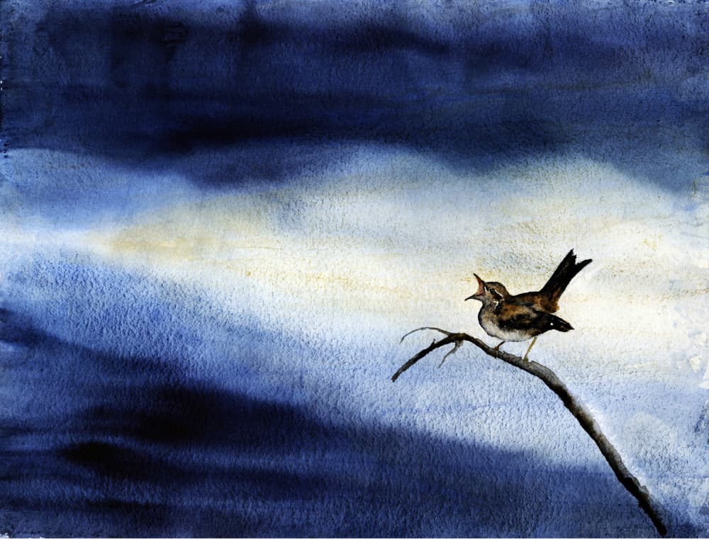 Singing Bird Dark Sky by RodMacIver — canvas wall art