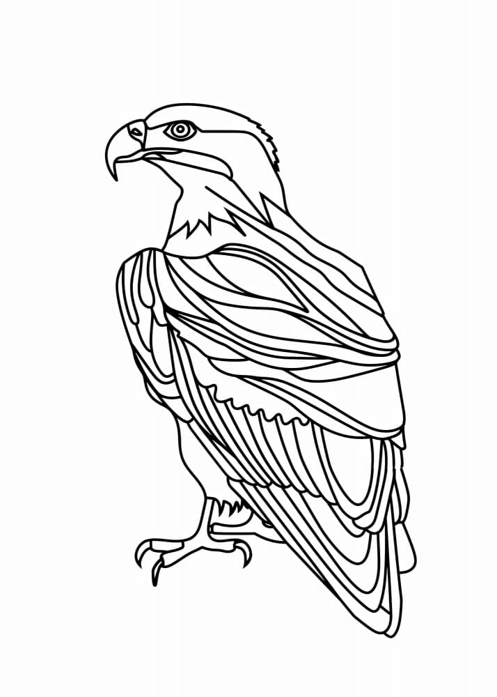 Majestic Eagle Outline by Justyna Jaszke — canvas wall art