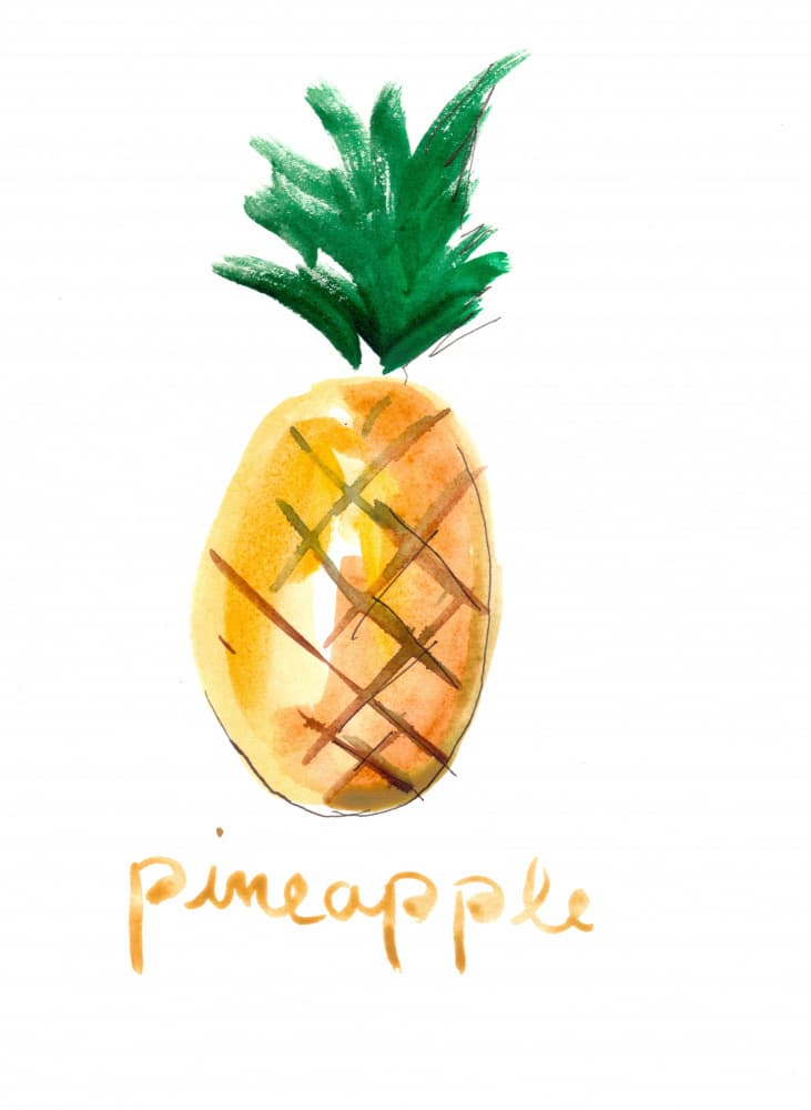Bright Pineapple Painting by Christine Lindstrom — canvas wall art