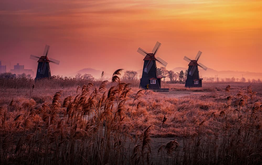 Orange Sunset Windmills by Tiger Seo — canvas wall art