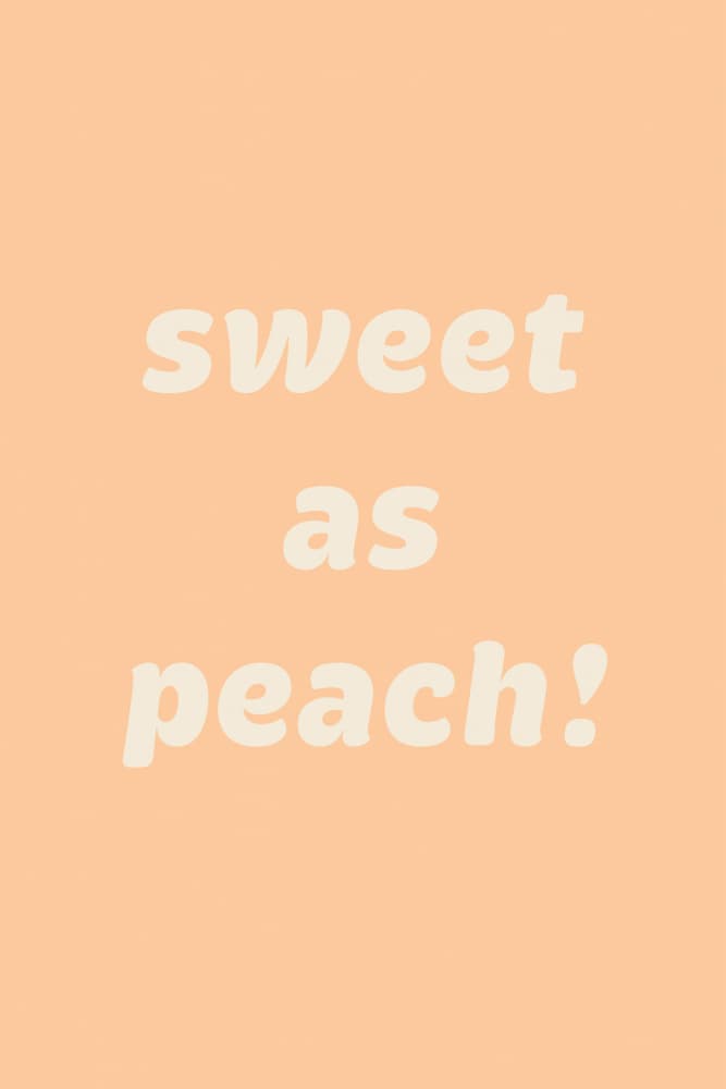 Sweet As Peach by Pictufy Studio — canvas wall art
