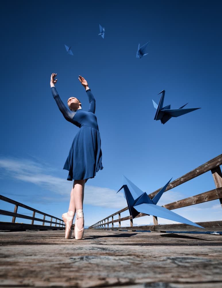 Blue Ballerina And Cranes by Yasin Hasanian — canvas wall art