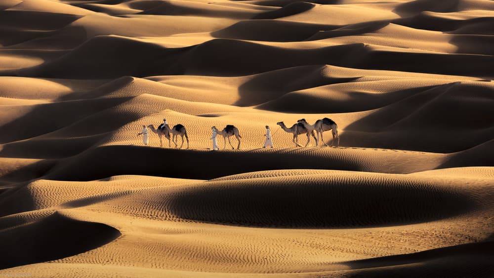 Golden Desert Journey by Ziyad AL Maashari — canvas wall art