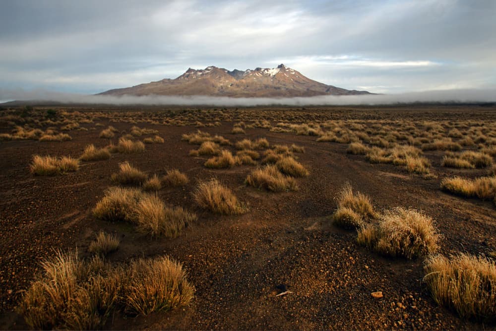 Rangipo Desert by Dragan Keca — canvas wall art
