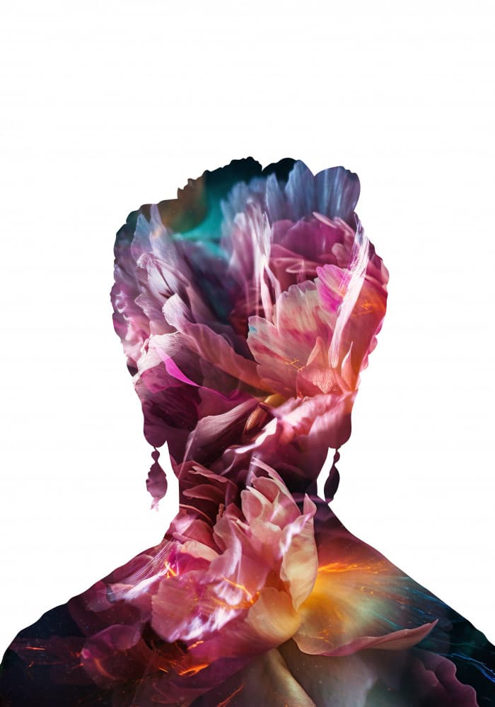 Vibrant Floral Profile by Sarah Manovski — canvas wall art