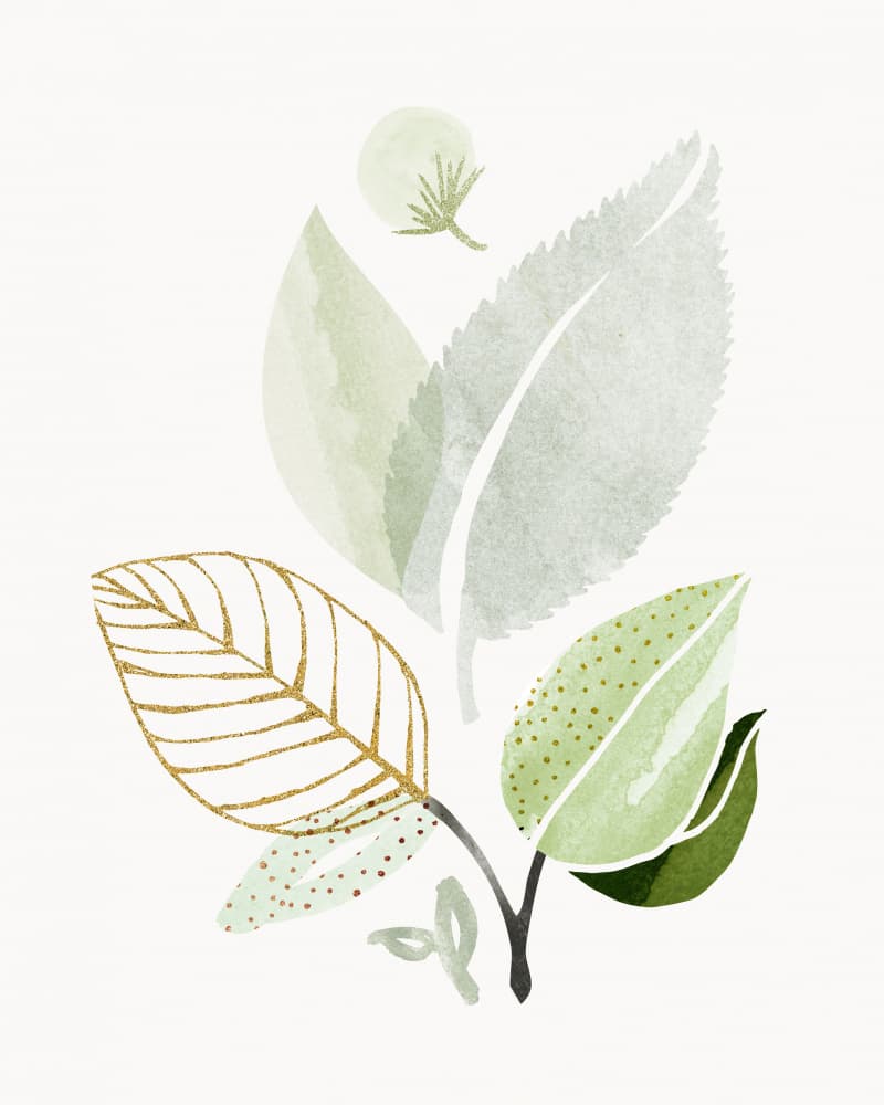 Forest Bouquet Collage 2 by Kristian Gallagher — canvas wall art