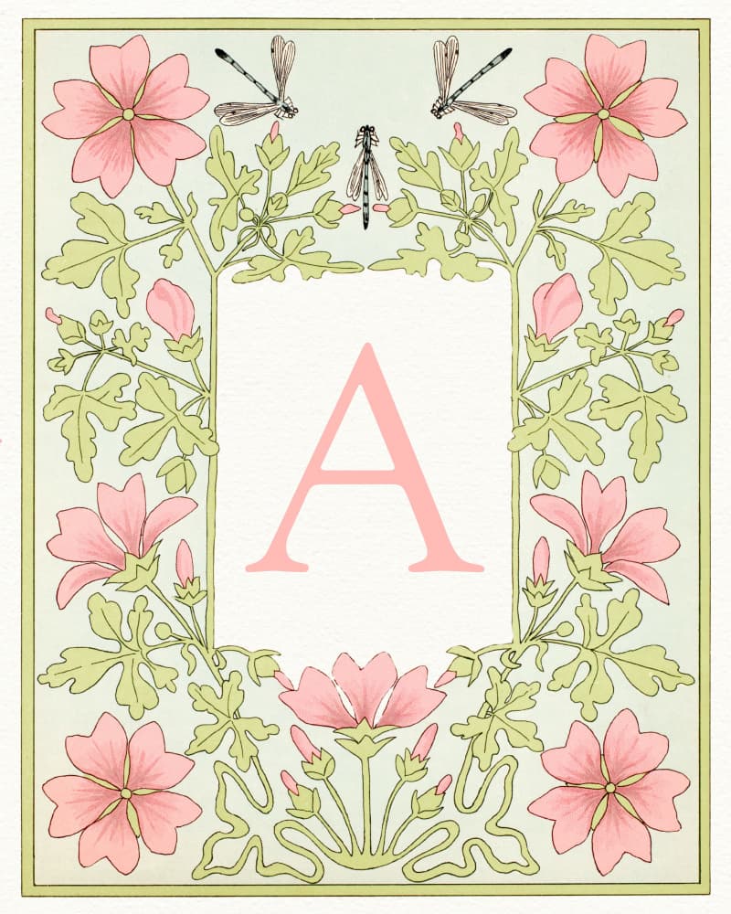 Botanical Initial A by Wild Violets — canvas wall art