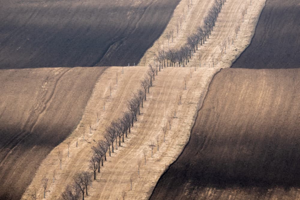 Abstract Field Patterns by Joško Šimic — canvas wall art