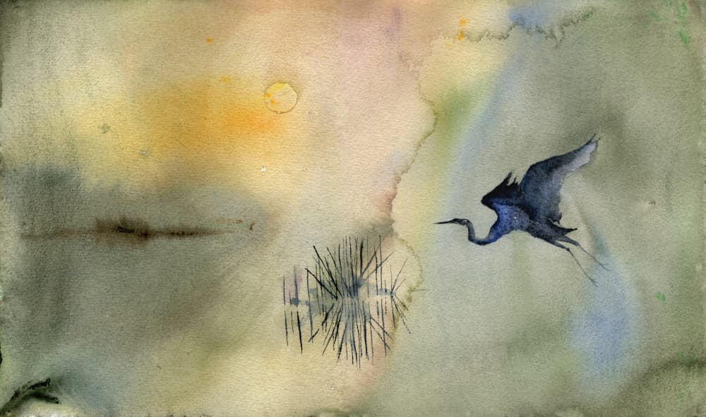 Tranquil Heron Flight by RodMacIver — canvas wall art