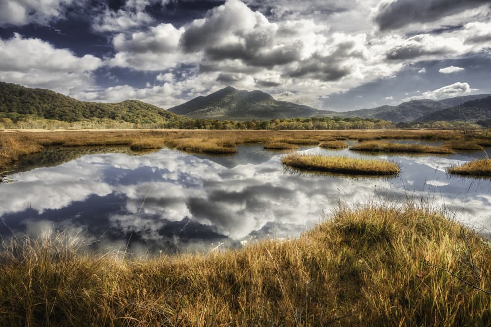 Autumn Marsh Reflections by Daiki Suzuki — canvas wall art