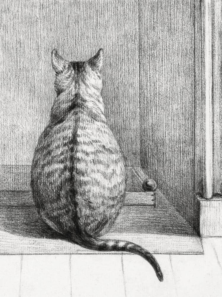 Sitting Cat, From Behind (1812)