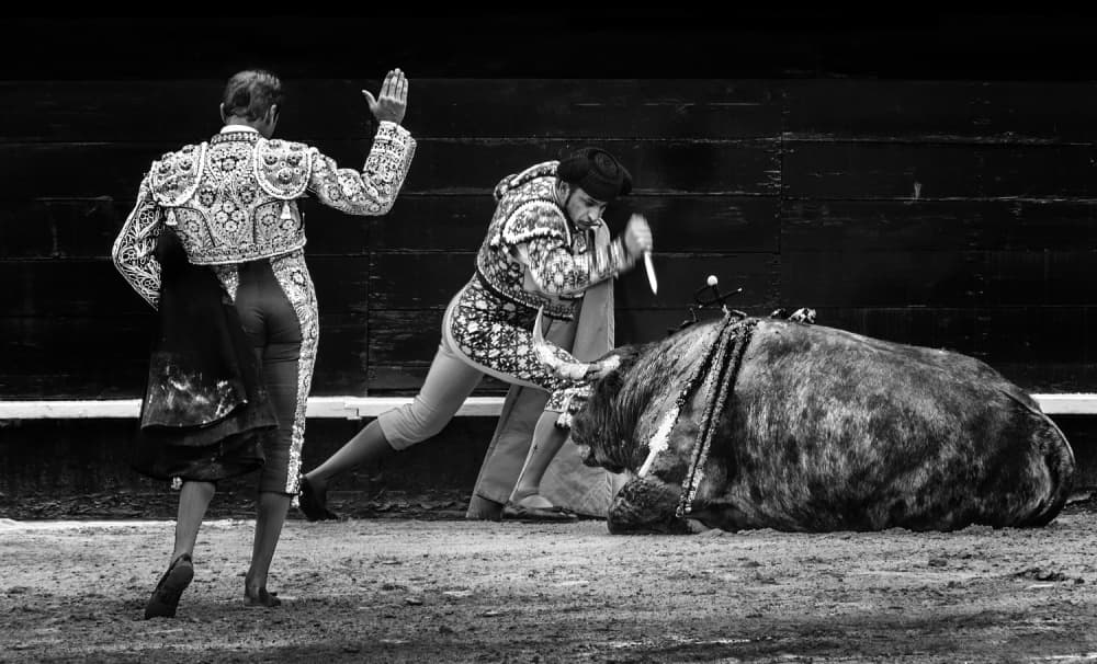 Spanish Bullfight Scene by Juan Luis Duran — canvas wall art