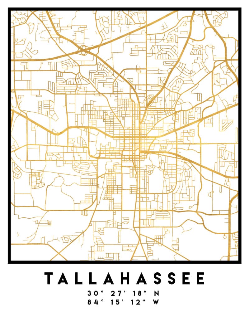 Golden Tallahassee City Map by Emiliano Deificus — canvas wall art