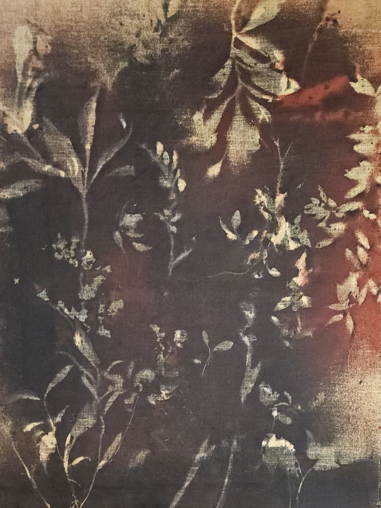 Dark Botanical Study by Stefano Mazzolini — canvas wall art