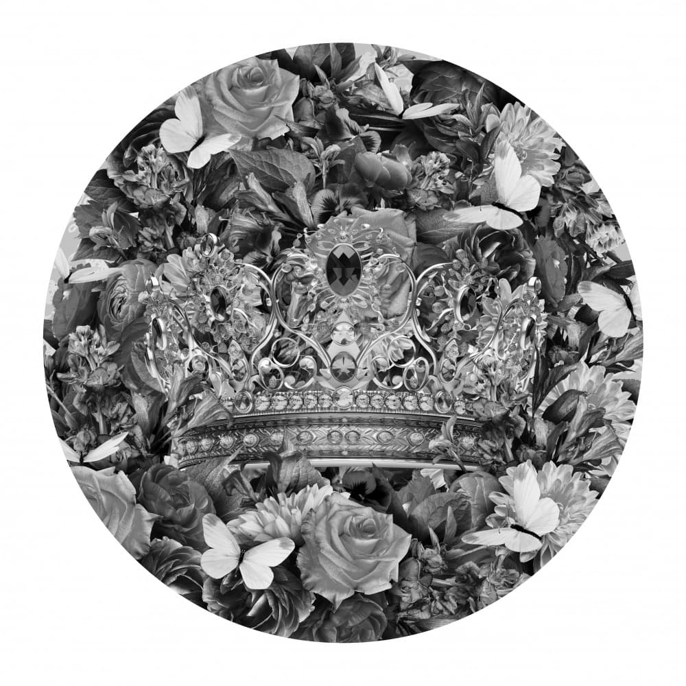 Regal Crown Botanical by Sue Skellern — canvas wall art