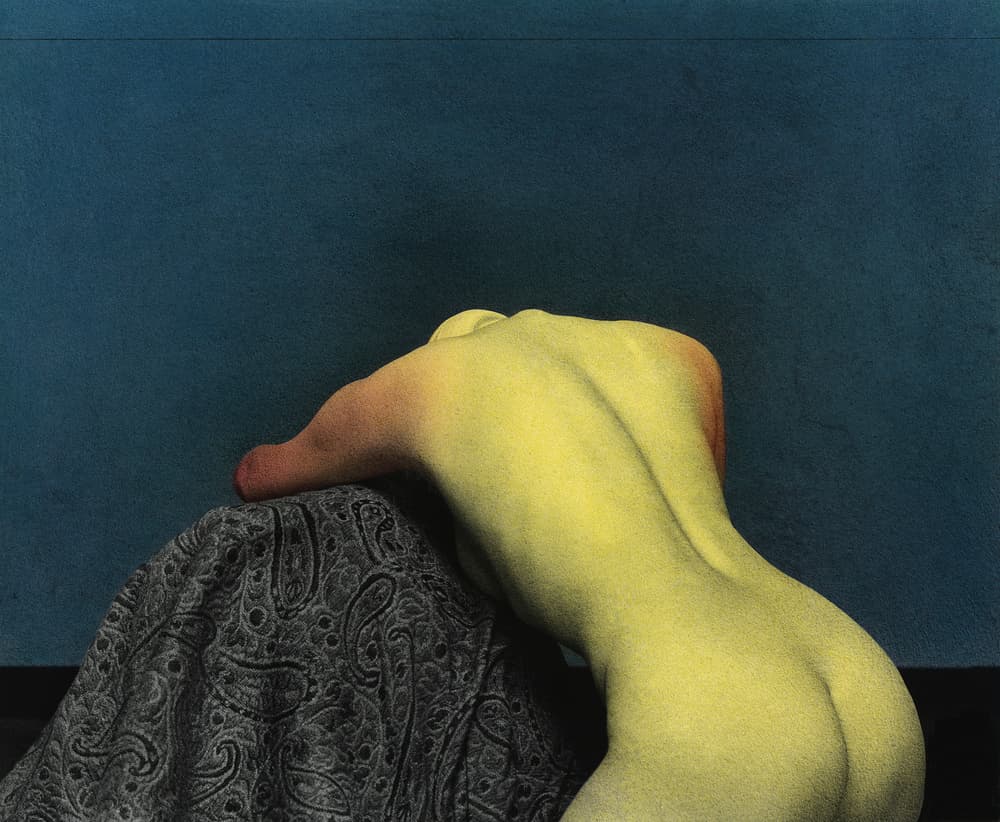 Sensual Nude Form by Fuyuki Hattori — canvas wall art