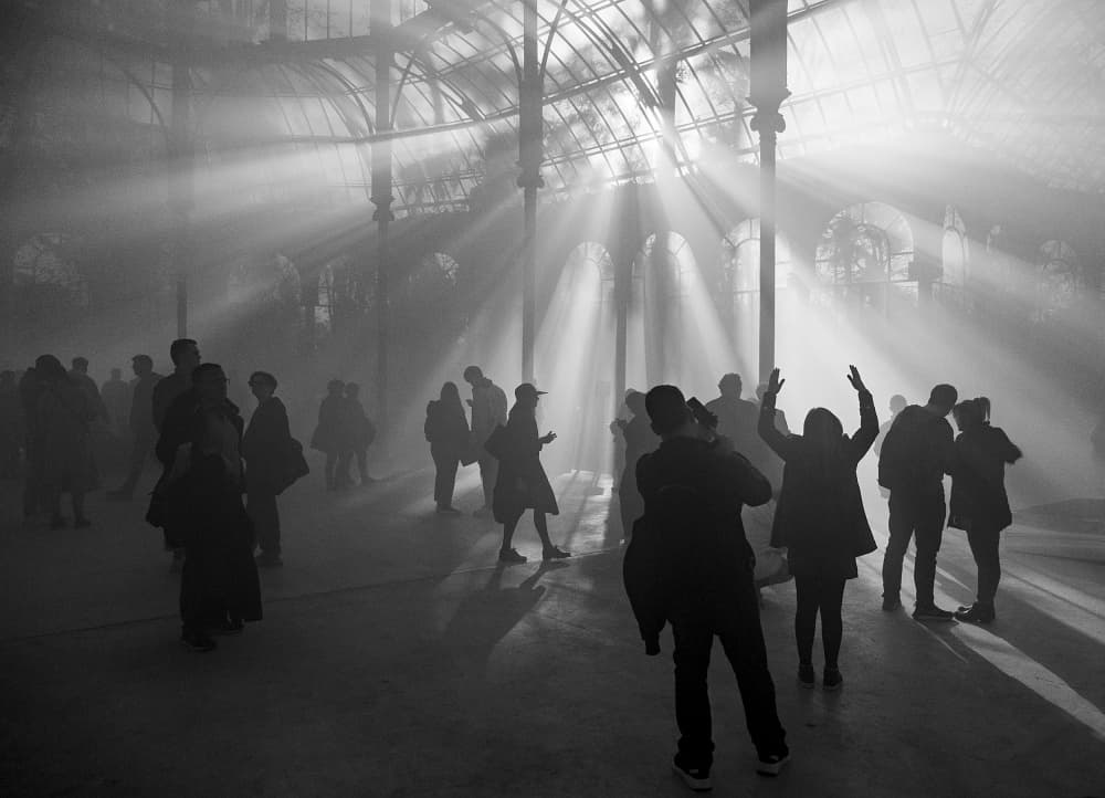 Sunbeams In Glasshouse by Adolfo Urrutia — canvas wall art