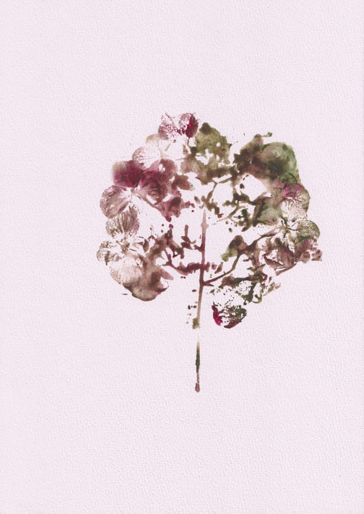 Muted Botanical Impression
