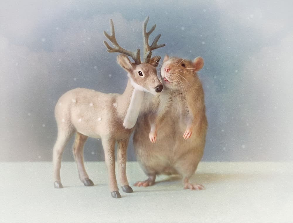 Cute Rat Deer Friends by Ellen van Deelen — canvas wall art