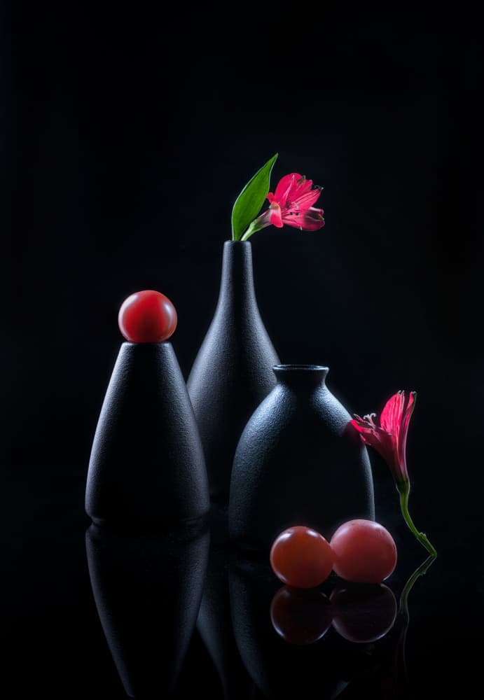 Elegant Dark Still Life by Joan Zhang — canvas wall art