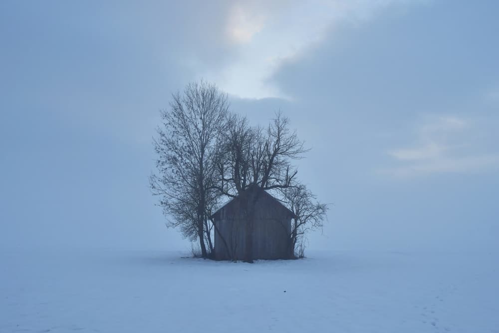 Misty Winter Cabin by Bojan Kolman — canvas wall art