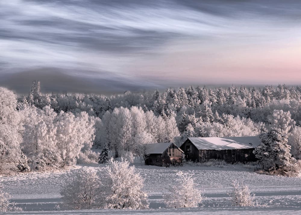 Serene Winter Barns by Bjorn Emanuelson — canvas wall art