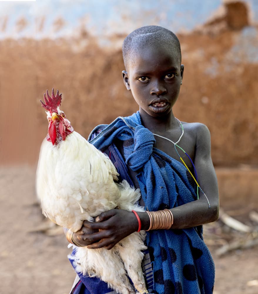 African Child Holds Rooster by Iris Wiener — canvas wall art