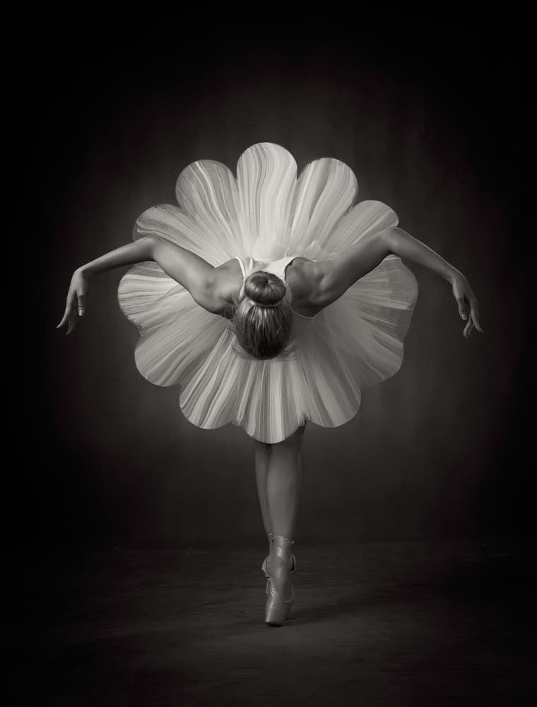 Elegant Ballet Bloom by Catchlight Studio — canvas wall art
