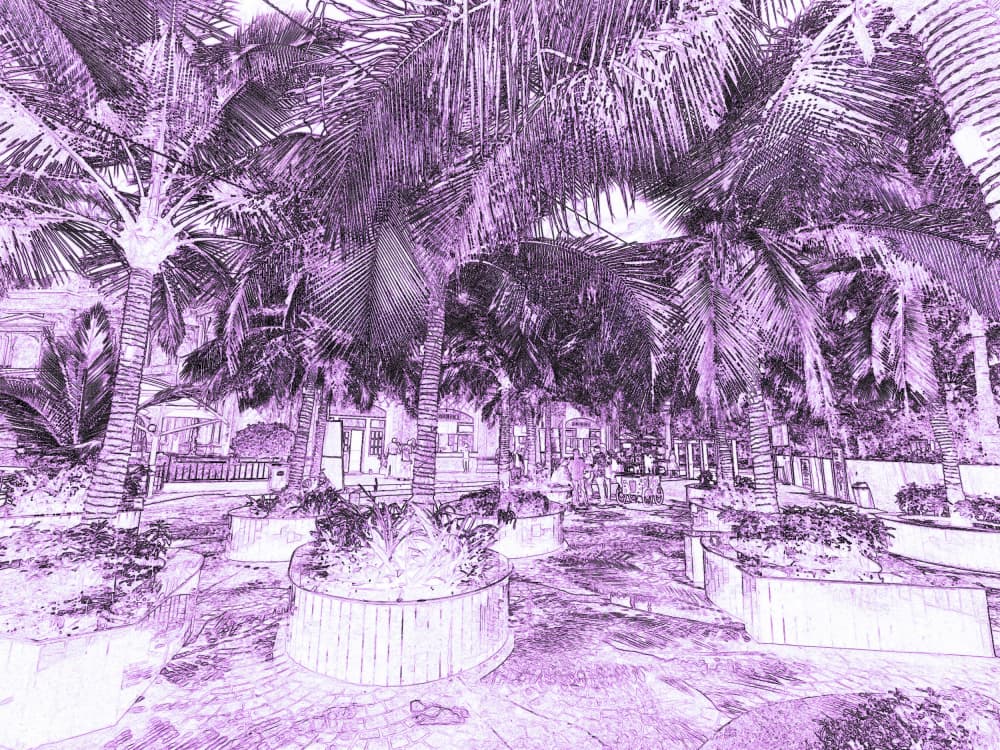 Vibrant Palm Path by Santhosh ch — canvas wall art
