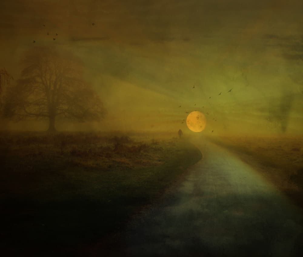 Moonlit Path Glow by Robert Fabrowski — canvas wall art