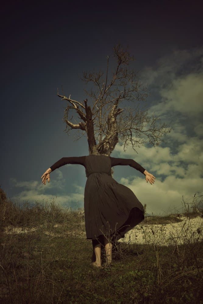 a premonition by Larisa Usmanova — canvas wall art