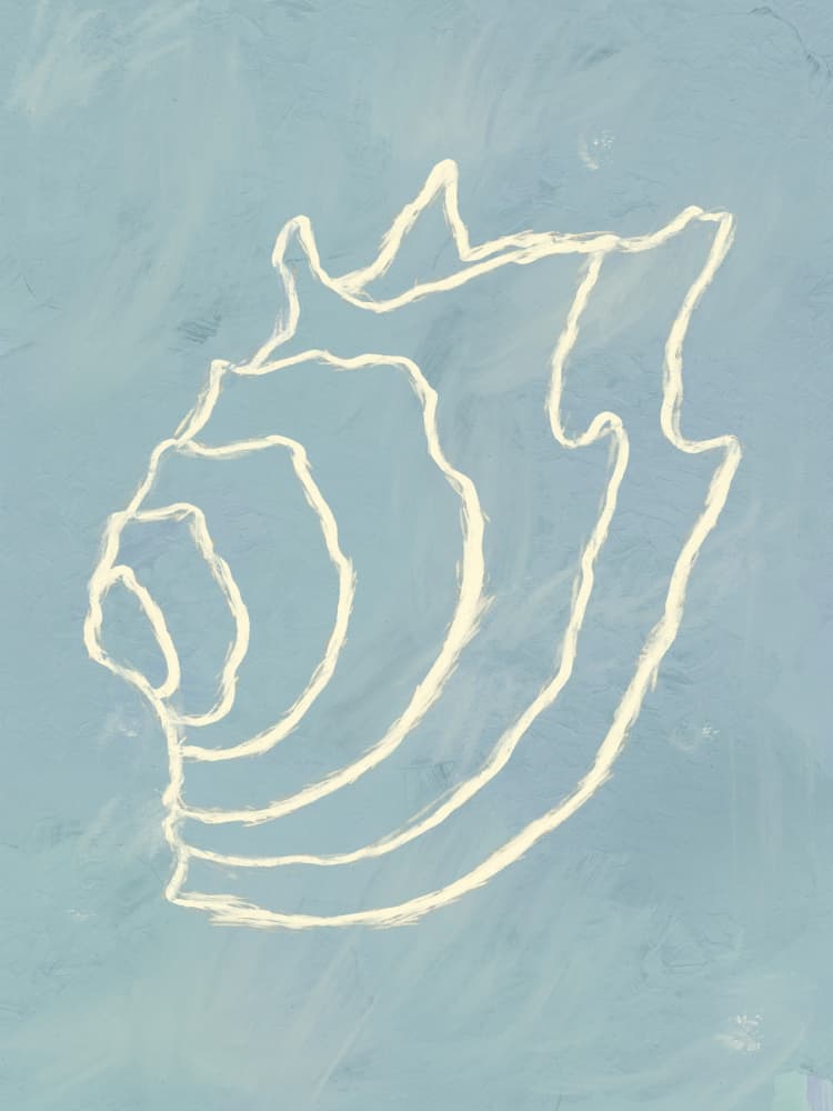 Shell Spiral Dream by Treechild — canvas wall art