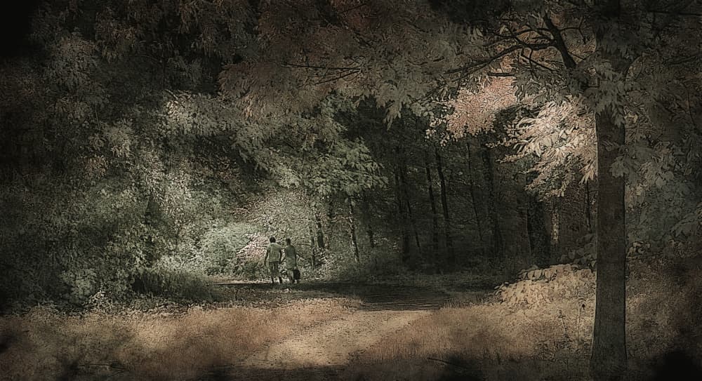 Twilight Forest Walk by Jan van der Linden — canvas wall art