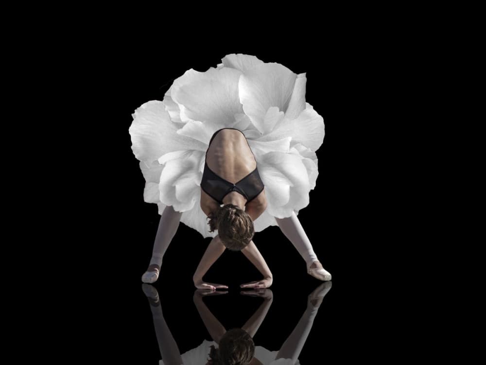 Ballet Flower Reflection by Natalia — canvas wall art