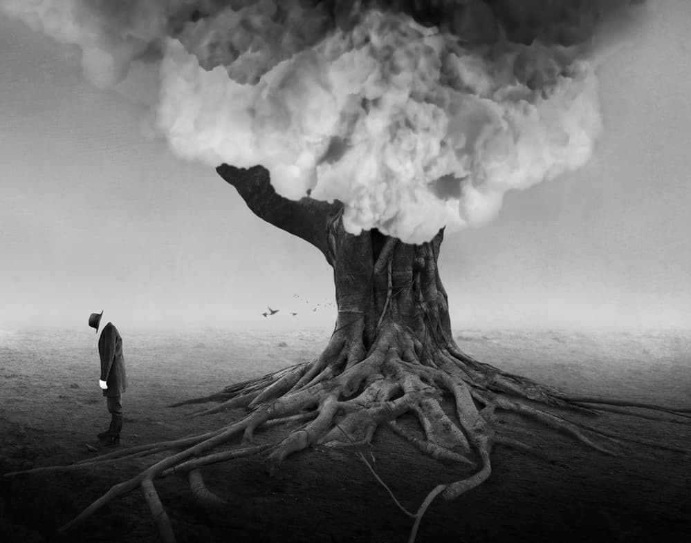 Lonely Man Tree Roots by Biao Huang — canvas wall art
