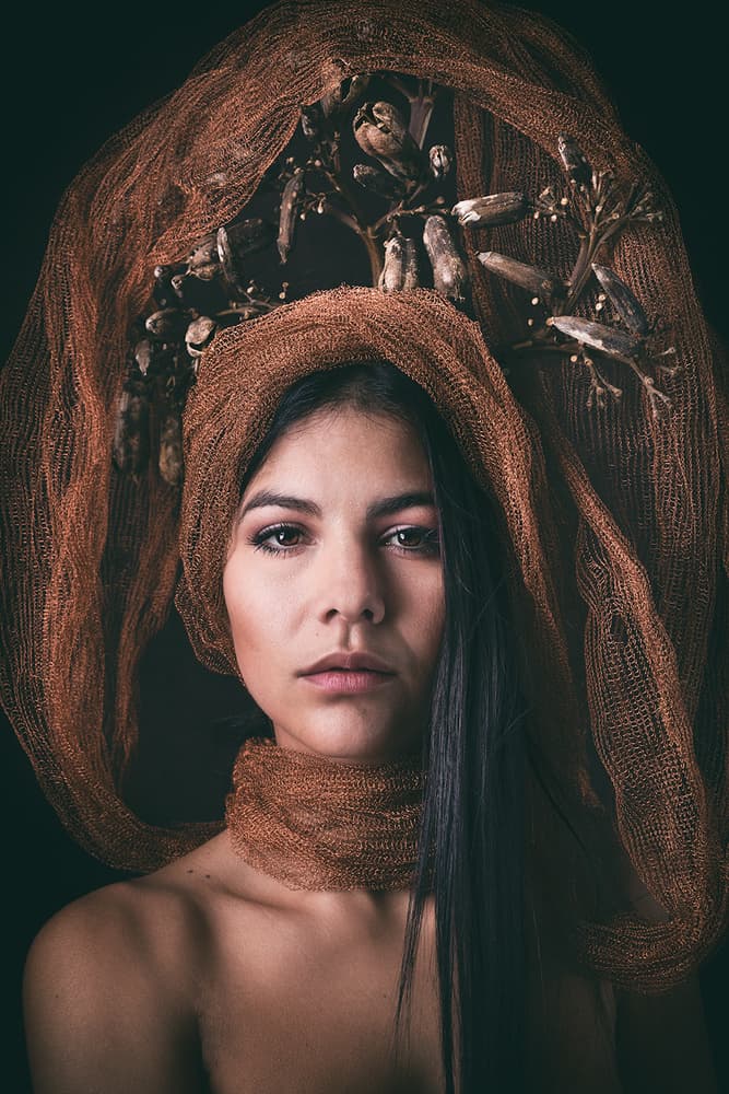Earthy Mystic Portrait by Joan Gil Raga — canvas wall art