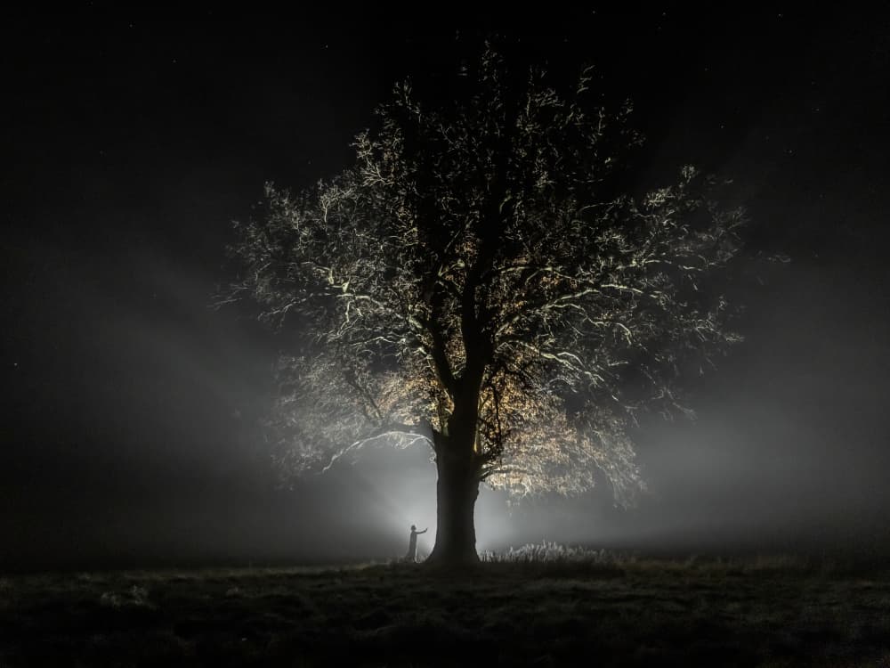 Tree of Light by Leszek Paradowski — canvas wall art