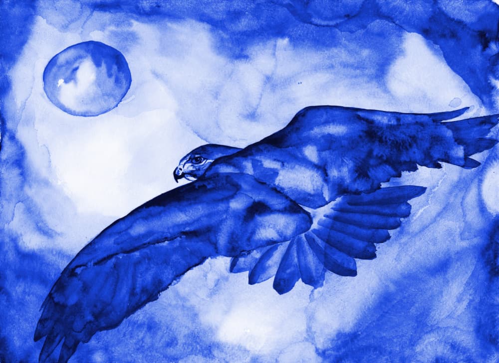 Blue Hawk Moon Flight by RodMacIver — canvas wall art