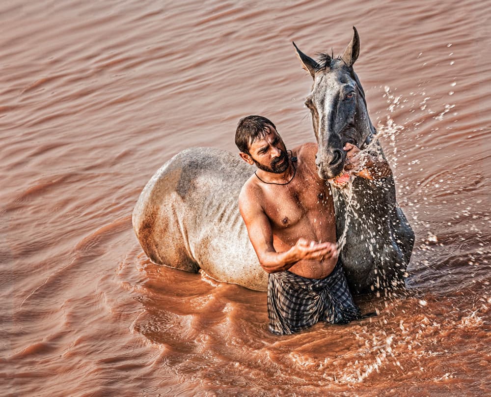 Splashing Horse Bath by Sayyed Nayyer Reza — canvas wall art