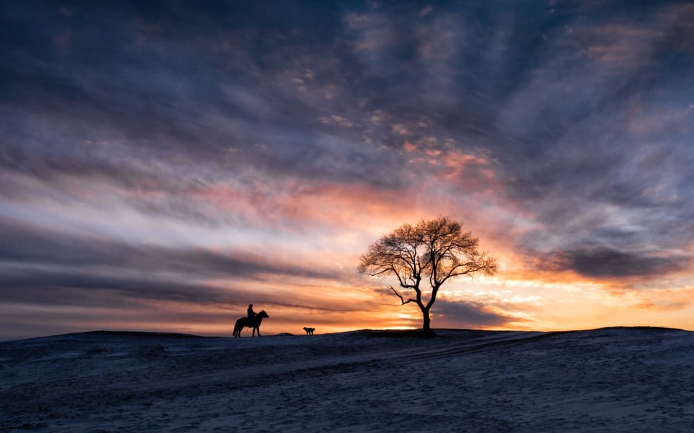 Winter Sunset Horse Ride by Songlin Xu — canvas wall art