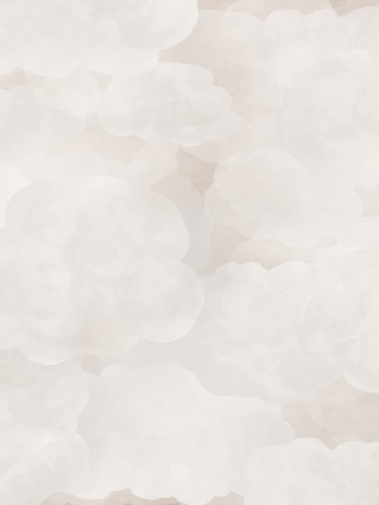 Cloudy Dreams Brown 1 by Karen Menzenbach — canvas wall art