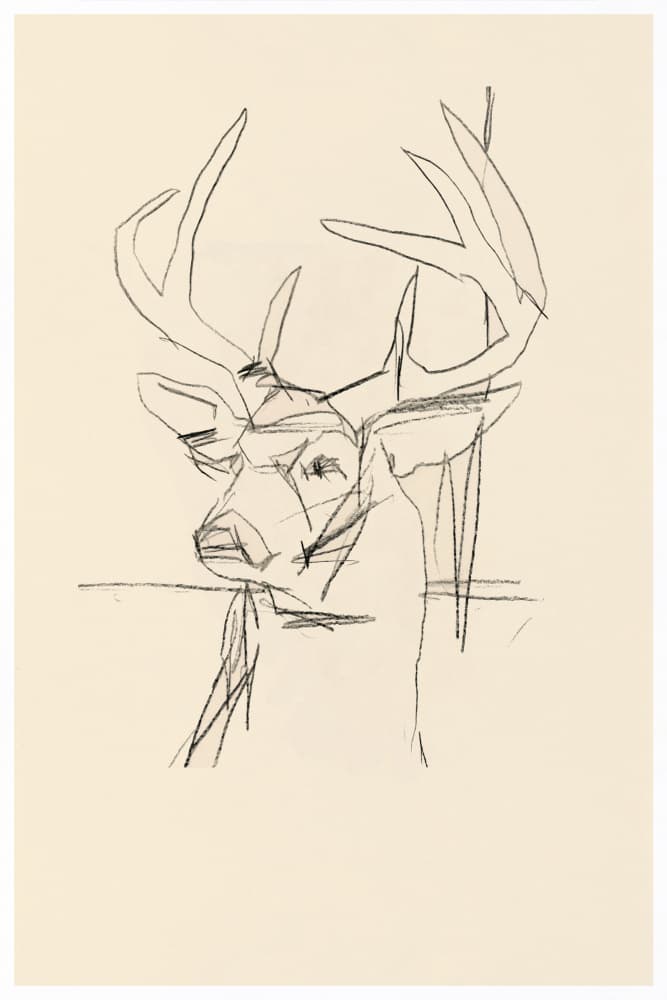 Abstract Deer Sketch by cartissi — canvas wall art