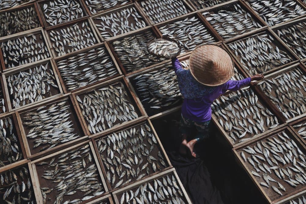 Traditional Fish Drying by Gatot Herliyanto — canvas wall art