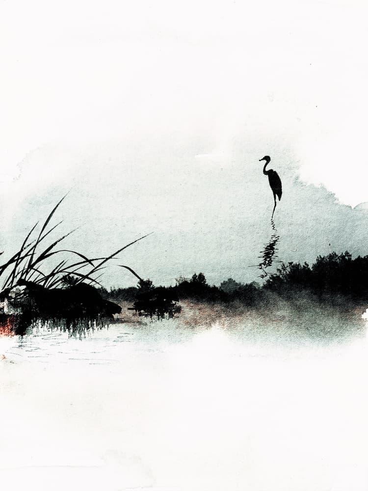 Serene Water's Edge by Treechild — canvas wall art