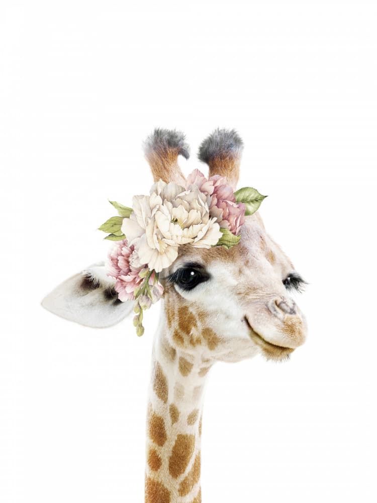 Floral Baby Giraffe by Lila &amp; Lola — canvas wall art