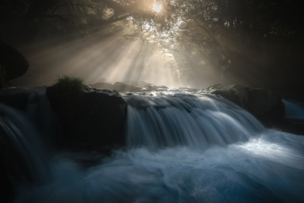 Misty Forest Waterfall by Daiki Kuroda — canvas wall art