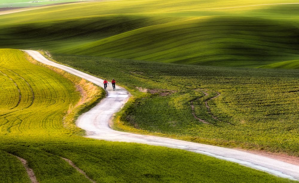 Green Hills Cycling Journey by Piotr Krol (Bax) — canvas wall art