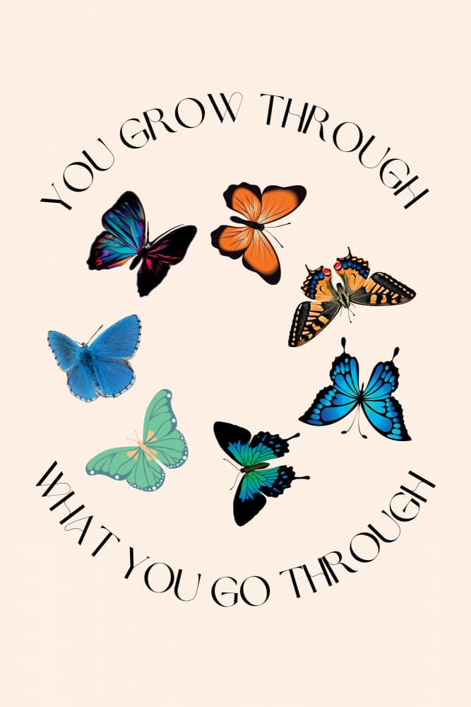 Inspirational Butterfly Circle by Nazma Khokhar — canvas wall art